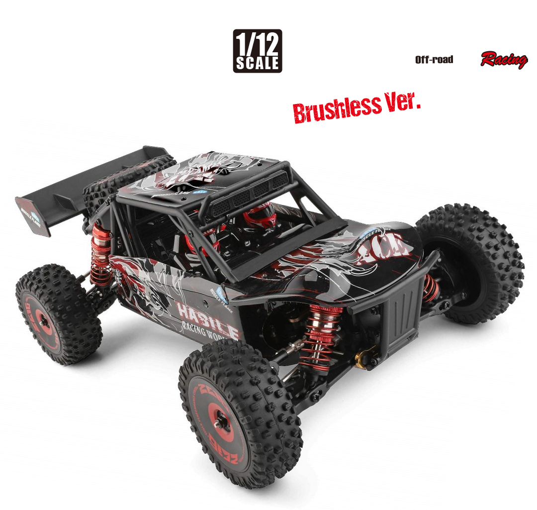 Explorer Brushless Ver. 4WD Buggy ［ エクスプローラー ブラシレス 
